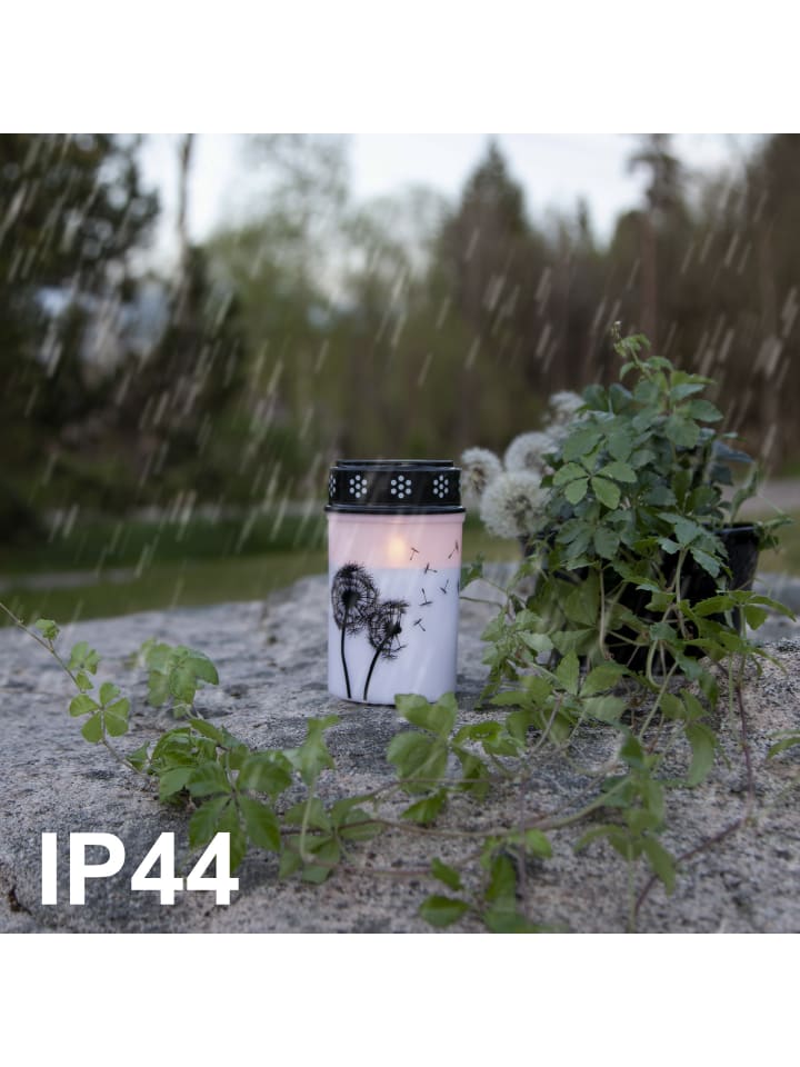 STAR Trading LED Grabkerze 'Dandelion', Timer, 12cm günstig kaufen onesize
