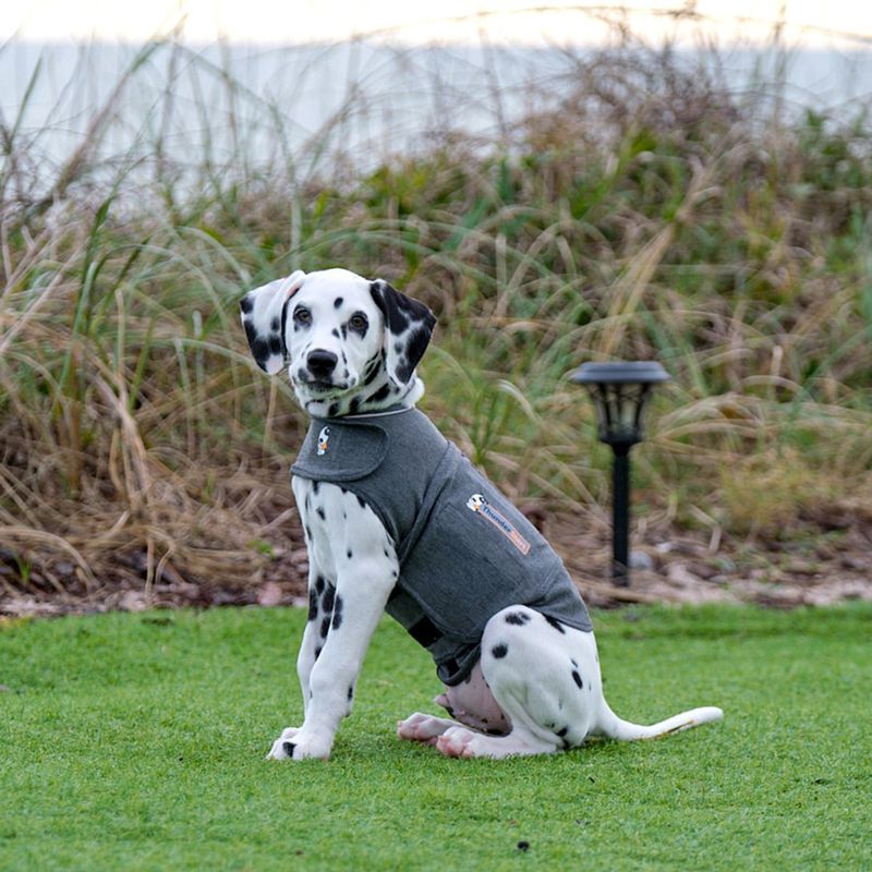 ThunderShirt Beruhigungsweste, grau zu TOP-Preisen