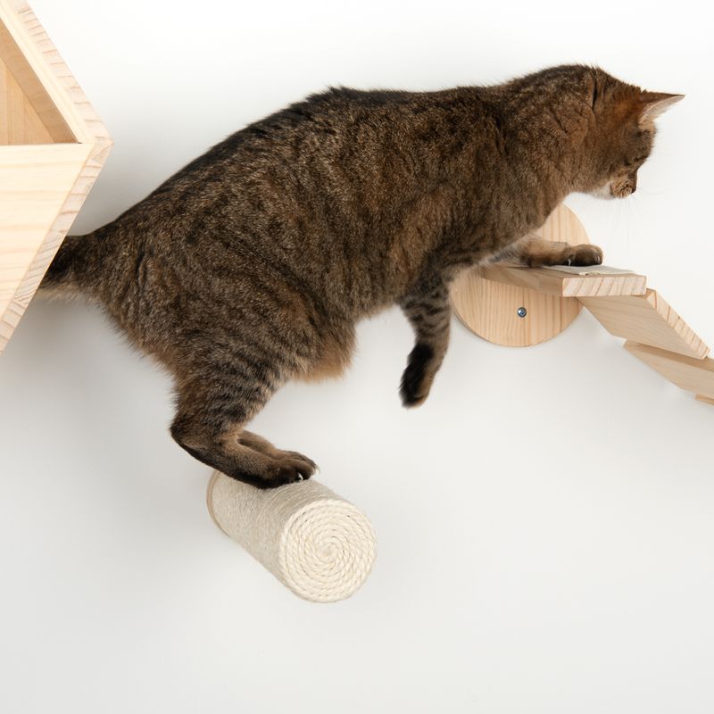Modern Living Kratzmöbel - Katzen Parkour zur Wandmontage | bitiba