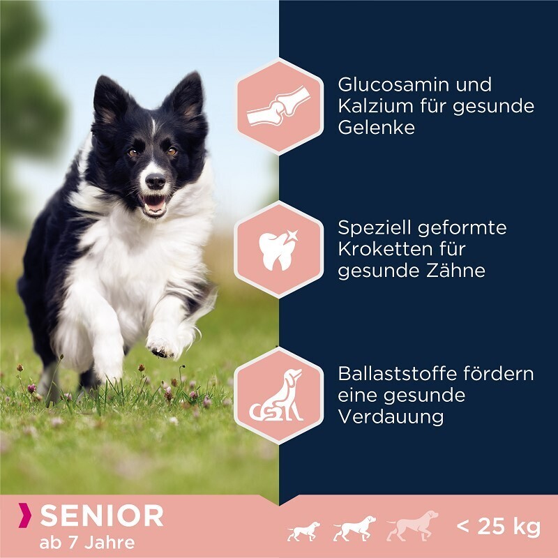 EUKANUBA Hundetrockenfutter EUKANUBA Senior Small & Medium Breed Lamm & Reis 12 kg