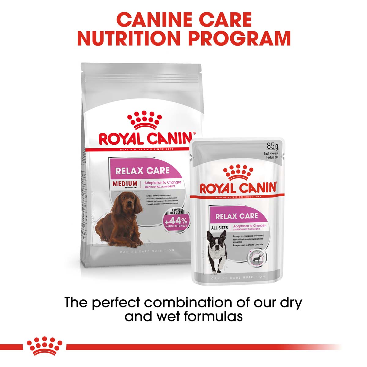 ROYAL CANIN RELAX CARE MEDIUM Trockenfutter für mittelgroße Hunde in unruhigem Umfeld