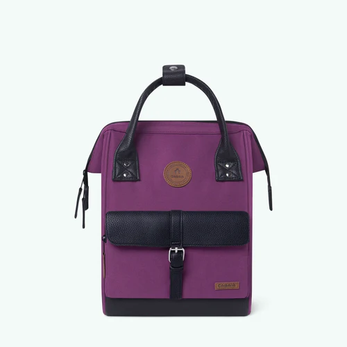 Adventurer Small Backpack Singapore Purple