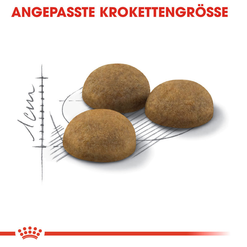 ROYAL CANIN Trockenfutter ROYAL CANIN Indoor Long Hair 400 g