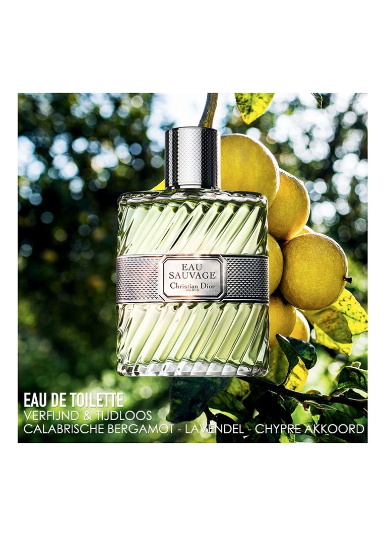 Apă de toaletă DIOR Wild Water la sticlă
