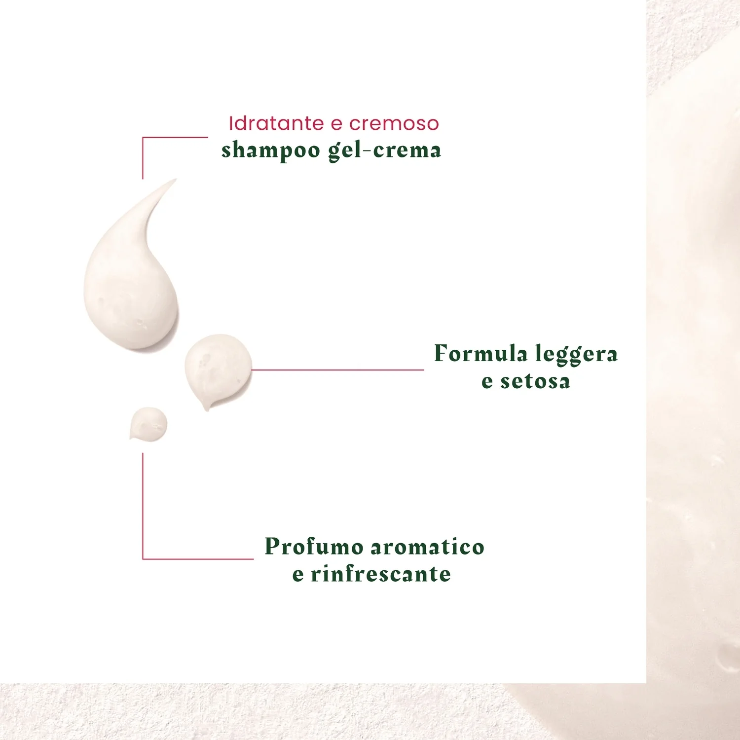 Neopur Shampooing Antipelliculaire Équilibrant (caspa seca) - Champú anticaspa