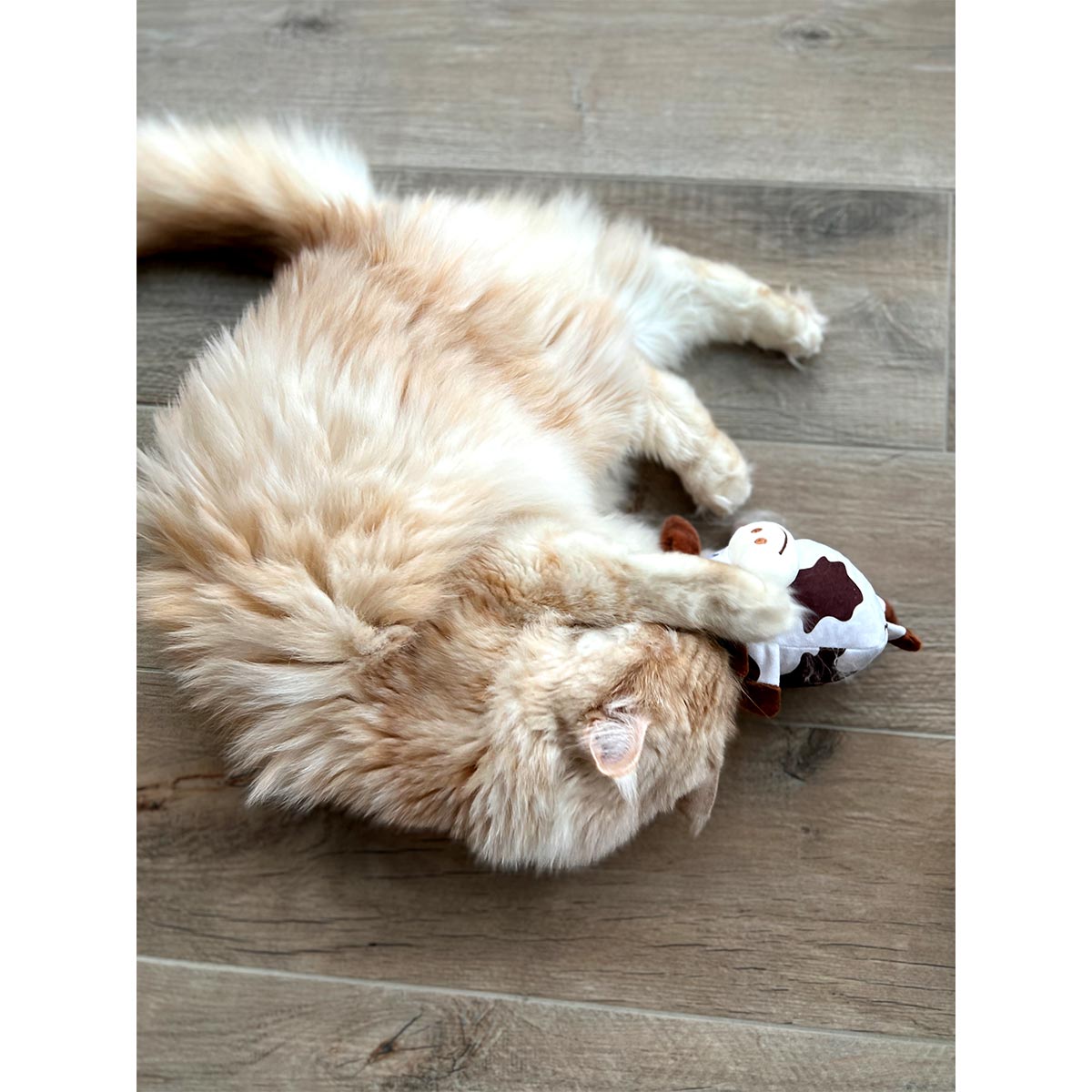 Aumüller Katzenspielkissen Kuh Ella günstig kaufen