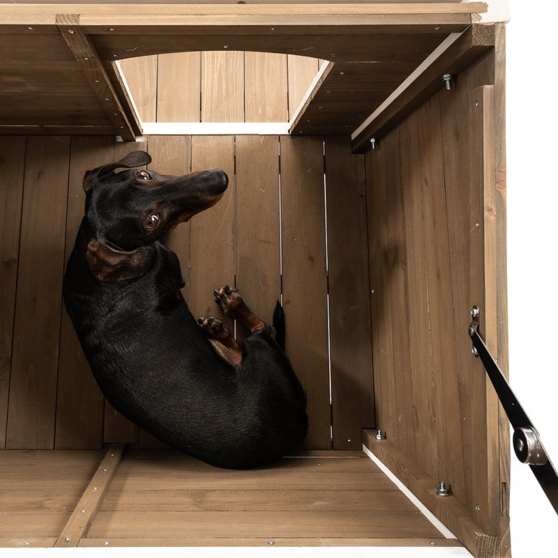 Hundehütte Doug zu TOP-Preisen