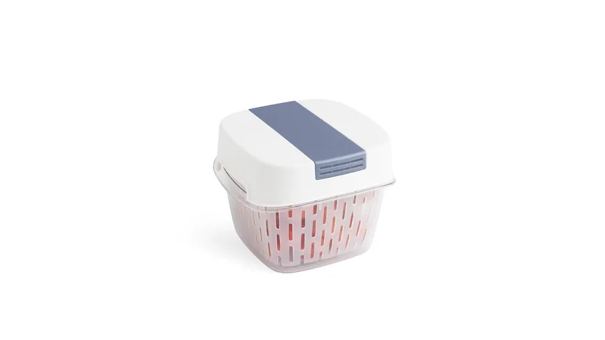 rotho Fresh Dynamic Box horizon blue 1,6l horizon blue