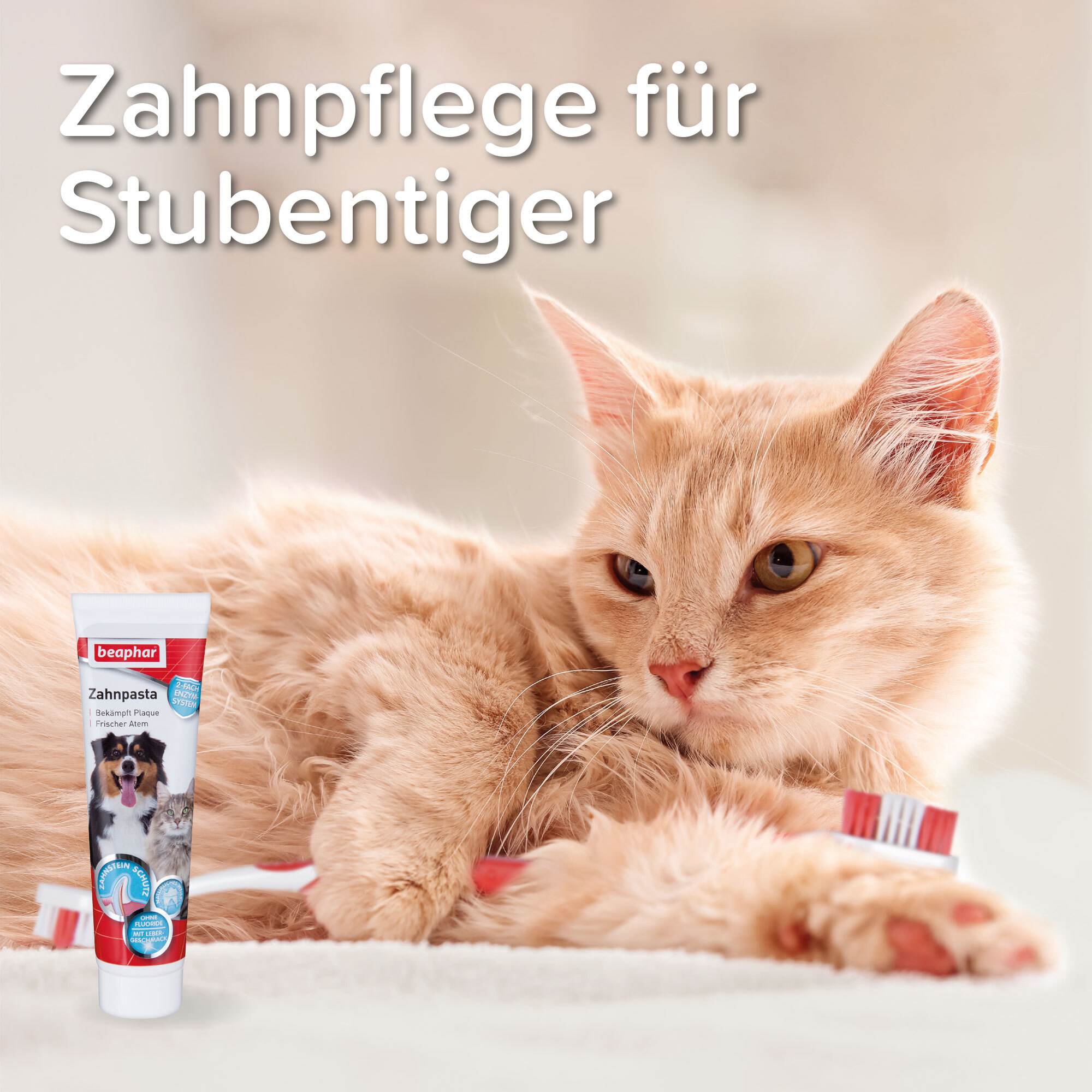 Beaphar Zahnpflege Beaphar Zahnpasta 100 g
