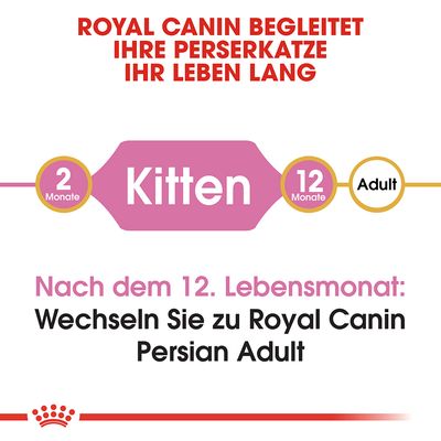 Royal Canin Persian Kitten