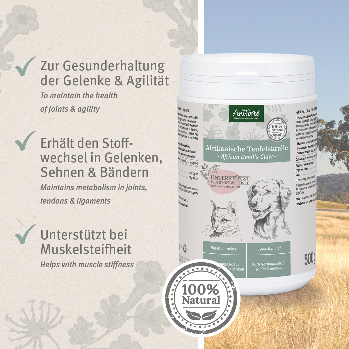 Aniforte Ergänzungsfutter & Aufzucht Aniforte Teufelskralle Pulver 500 g