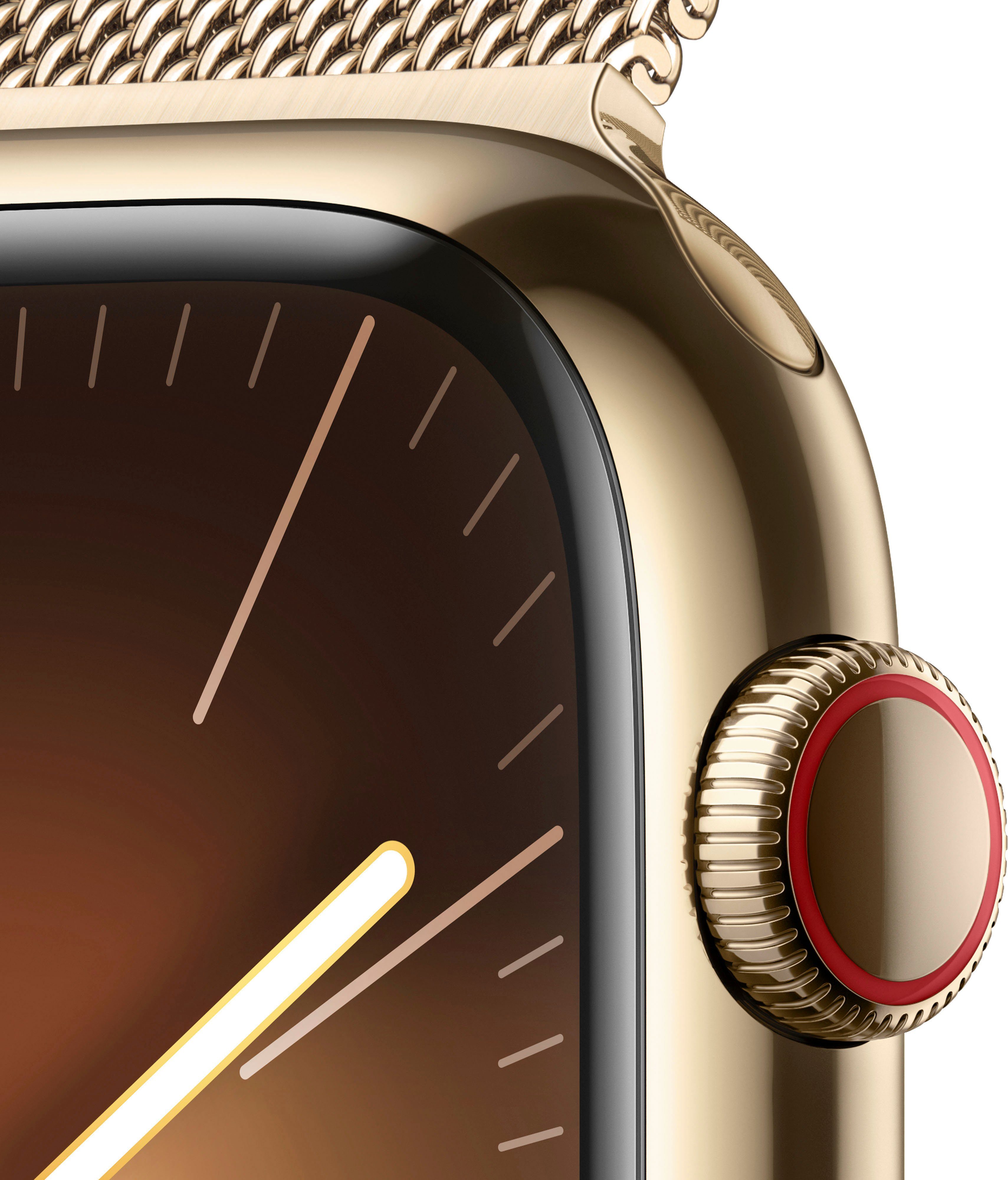Apple Watch Series 9 GPS + Cellular Stainless Steel 45mm Smartwatch (4,5 cm/1,77 Zoll, Watch OS 10), Milanese Loop