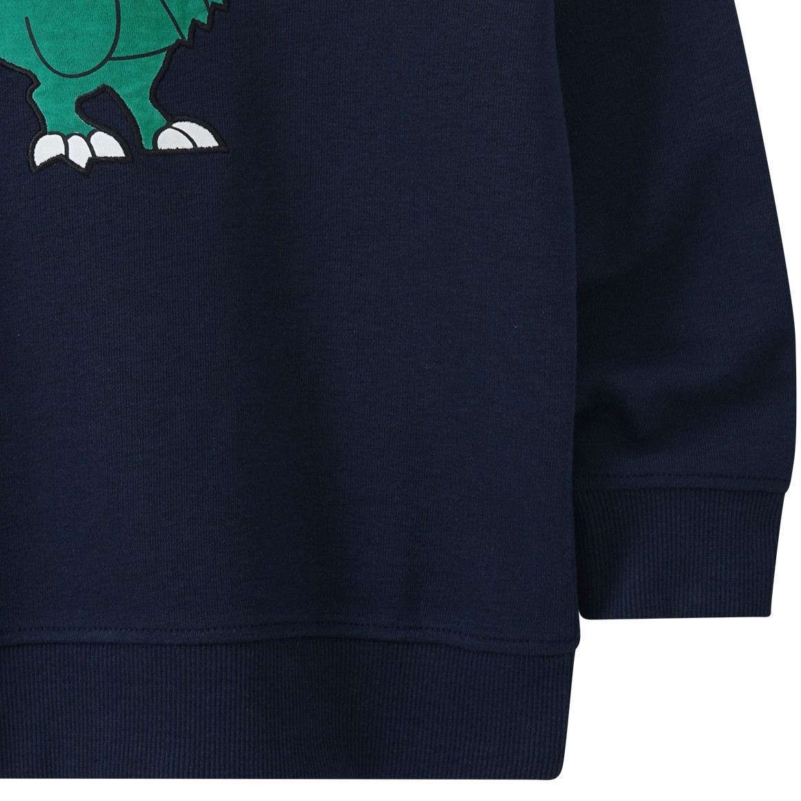 Kinder Sweatshirt mit Dino-Applikation