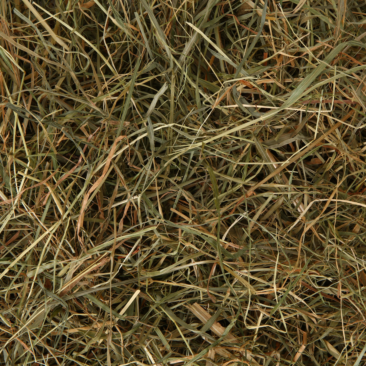 Chipsi Kleintierheu Sunshine Wiesenheu kaufen
