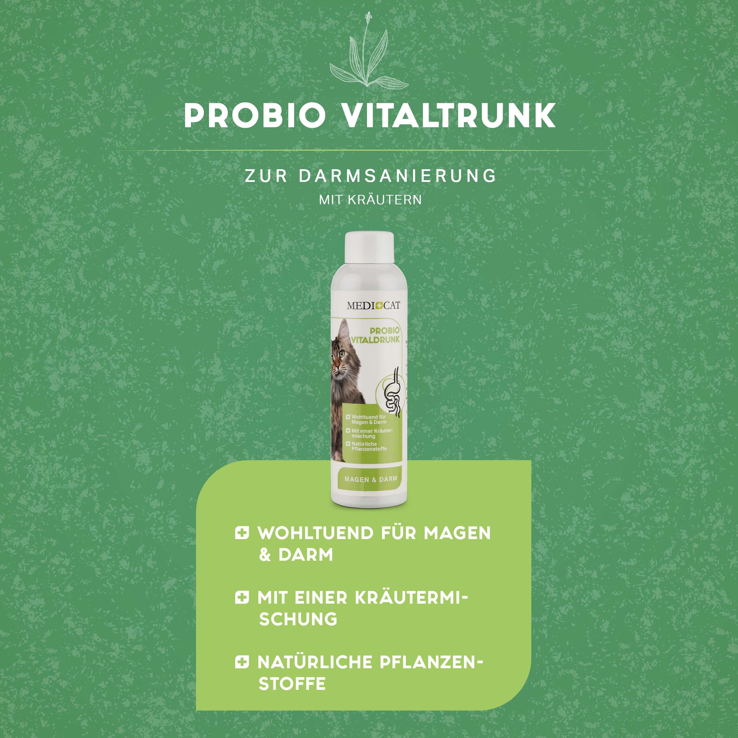 MediCat Ergänzungsfutter & Aufzucht MediCat Probio Vitaldrunk