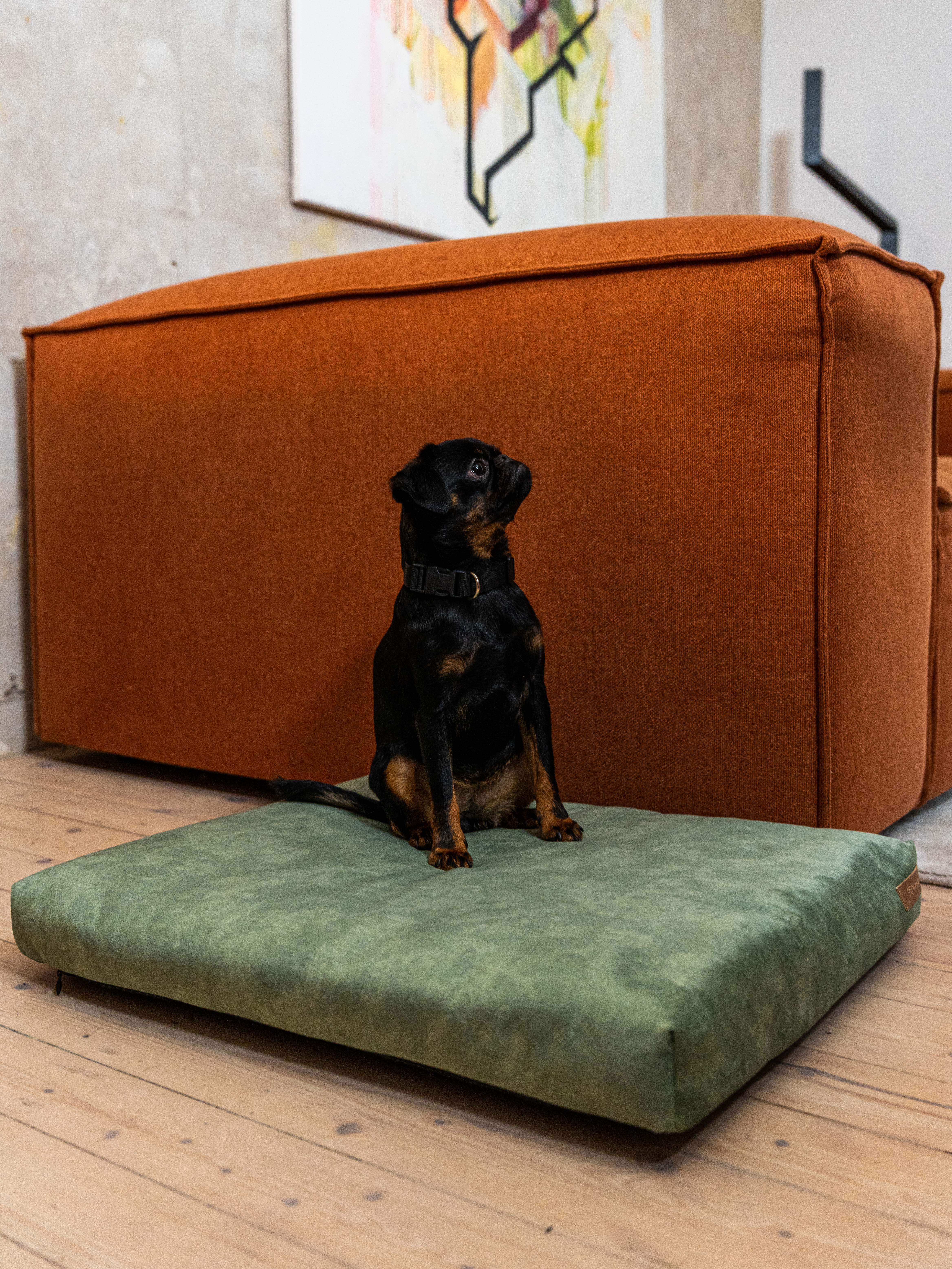 Rexproduct Hundematten Rexproduct SoftPet Matratze grün S
