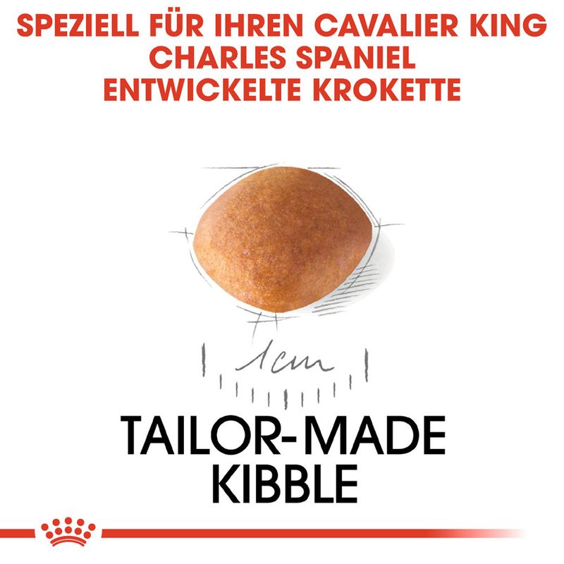Royal Canin Cavalier King Charles Puppy
