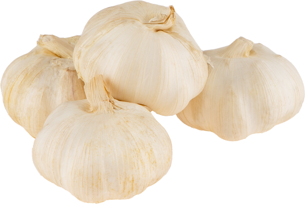 Knoblauch
