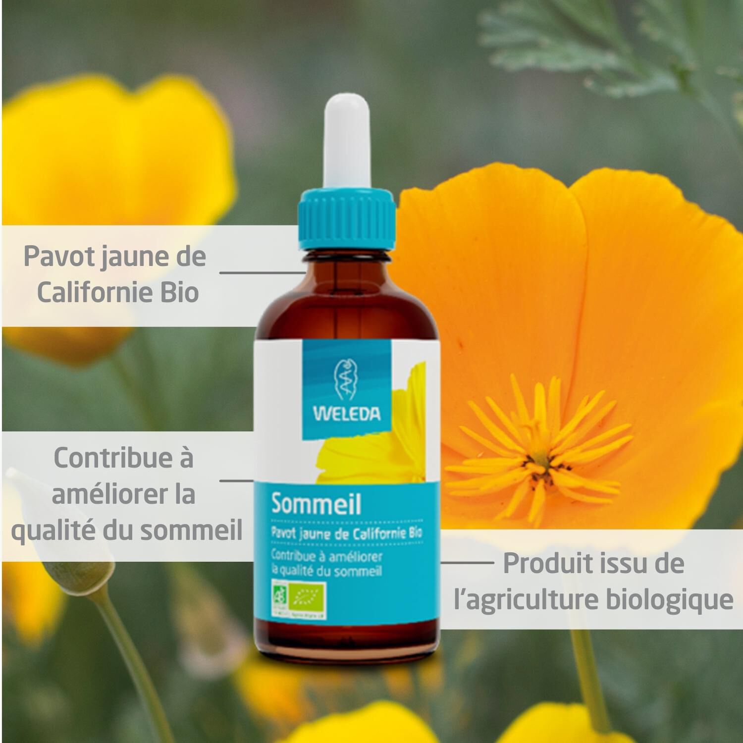 Weleda EPB® Pavot Jaune de Californie Bio Sommeil - Complément Alimentaire Naturel - 60 ml