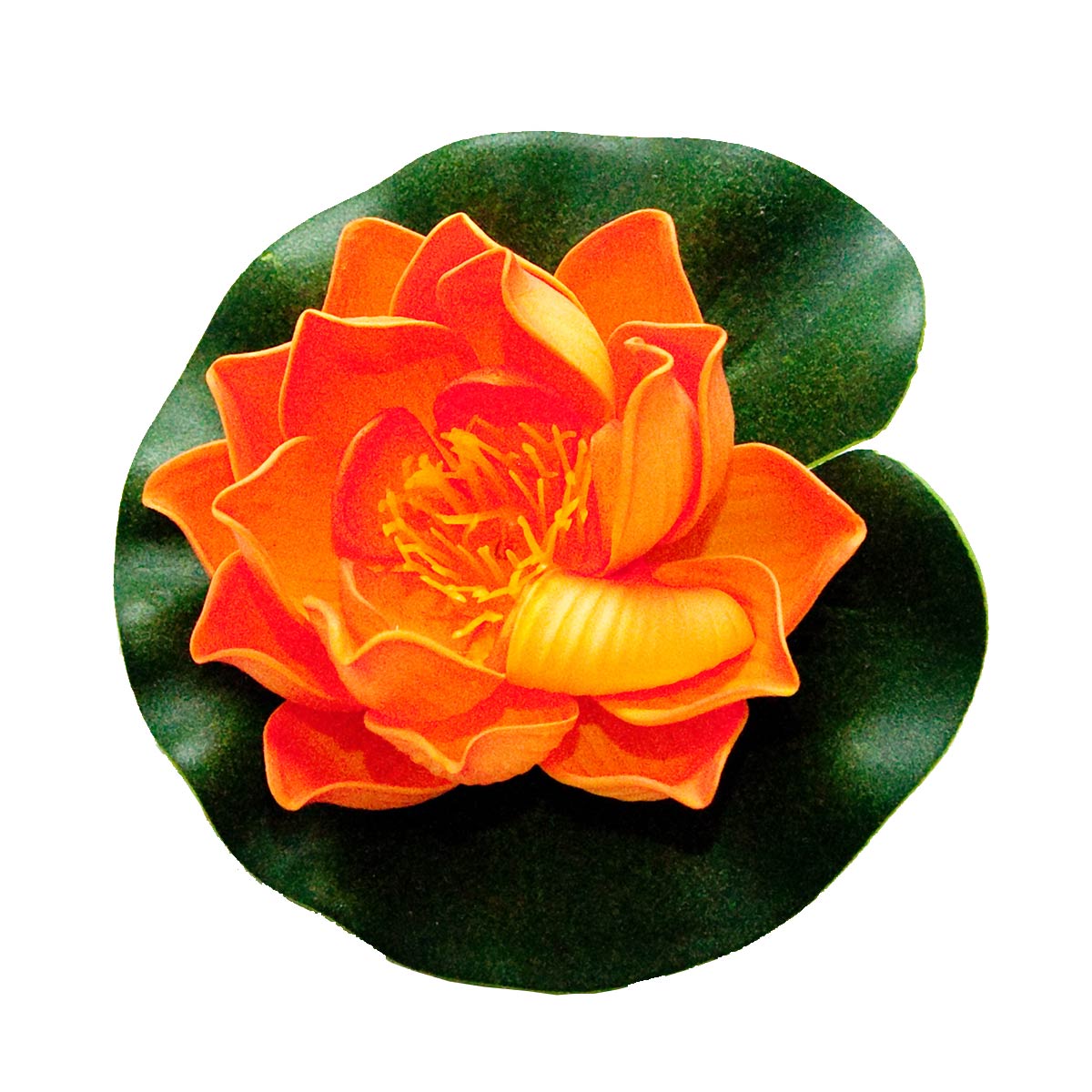 Velda Lotus Foam Orange günstig kaufen
