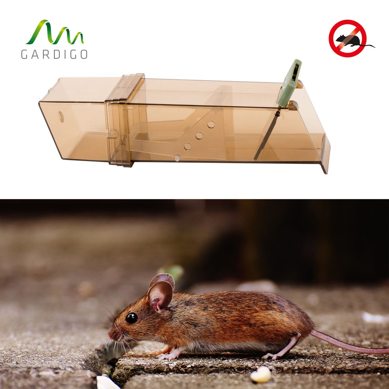 Gardigo Maus-Lebend-Falle 2er Set