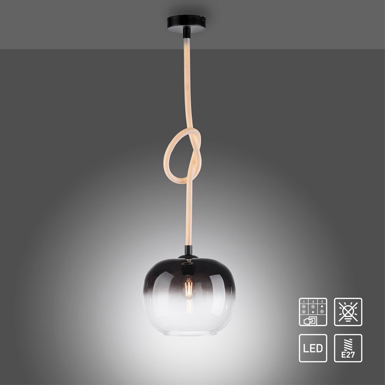 Paul Neuhaus Pendelleuchte LUMA, 1x E27/40Watt max., 1x LED-Board/12,50Watt, Schwarz