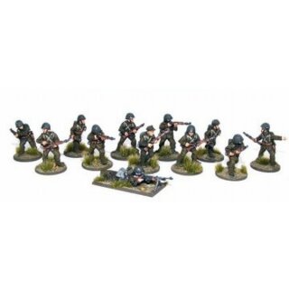 Polish Army Infantry Section