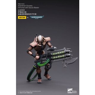 Warhammer 40k Actionfigur: Necrons - Szarekhan Dynasty Immortals with Gauss Blaster (2er-Pack)