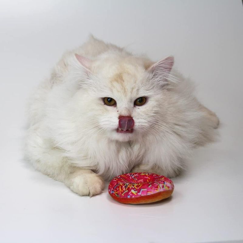 Croci Bakery Street Donut mit Katzenminze zu TOP-Preisen | bitiba