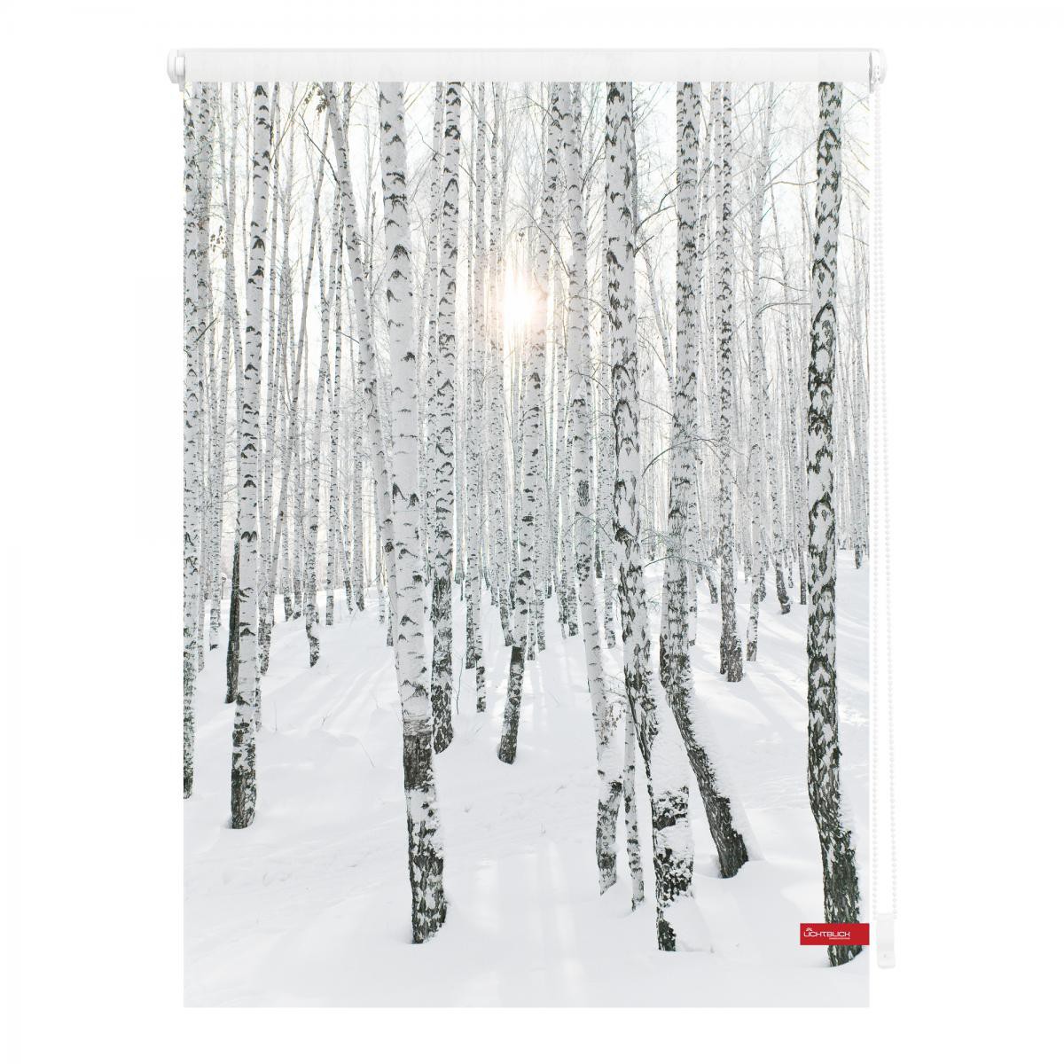 Lichtblick Rollo Klemmfix, ohne Bohren, blickdicht, Birkenwald - Weiß, 100 x 150 cm (B x L)