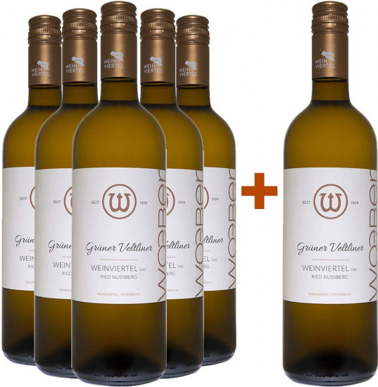 5+1 Grüner Veltliner Ried Nussberg Weinviertel DAC Paket - Weingut Wöber
