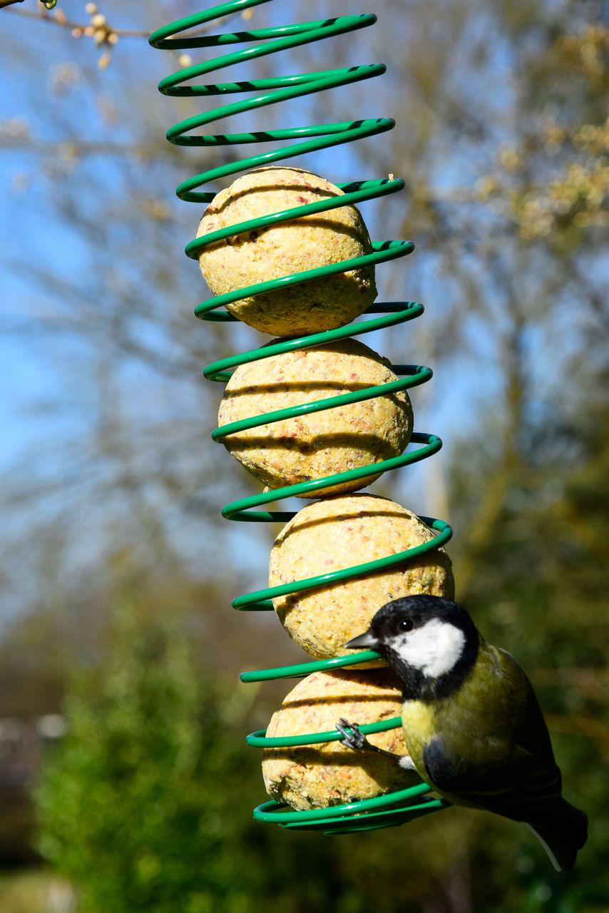 dobar Meisenknödel 100 Stück a 90g Tierfutter Vogelfutter