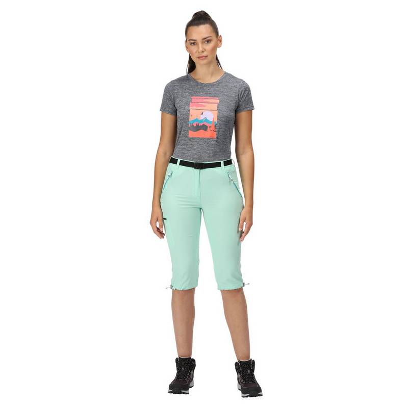 Regatta Xert Capri Wanderhose Damen
