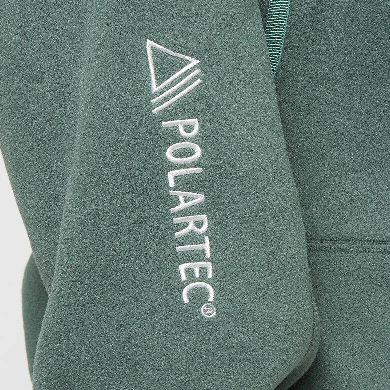 NIKE ACG Wolf Tree Polartec Fleece vintage green/bicoastal/summit white