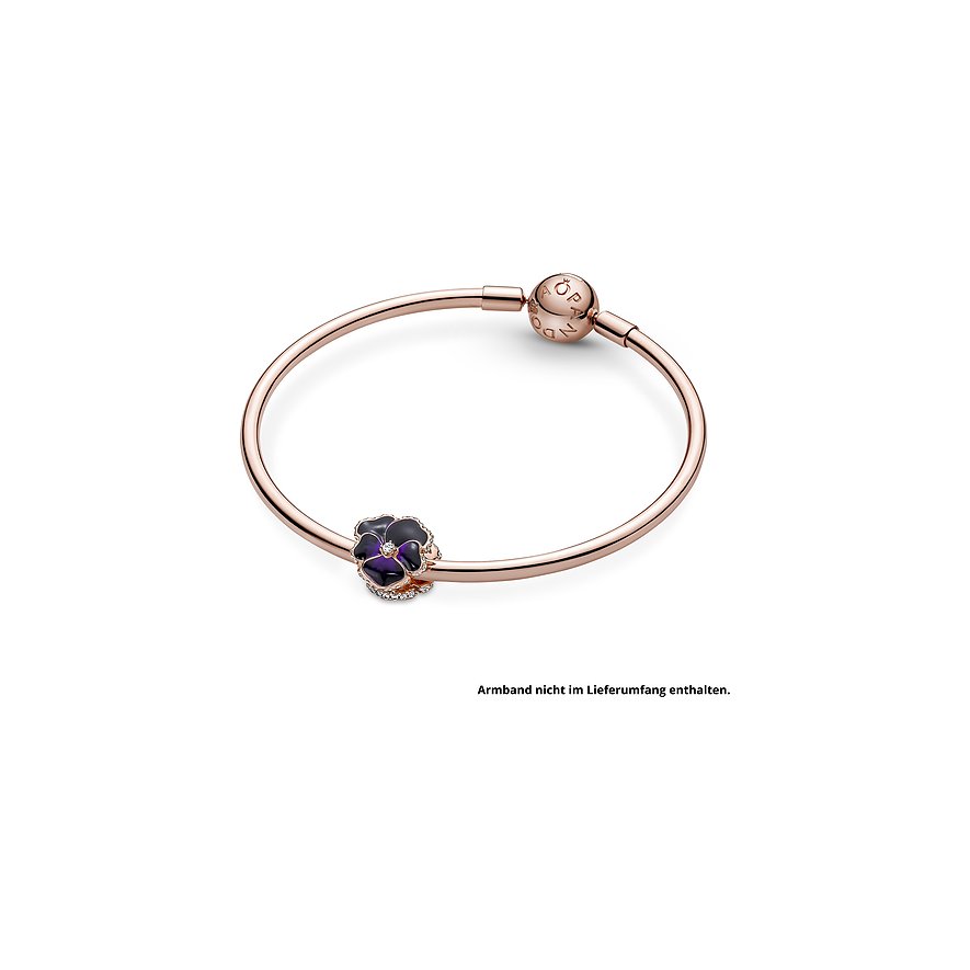 Pandora Charm Moments