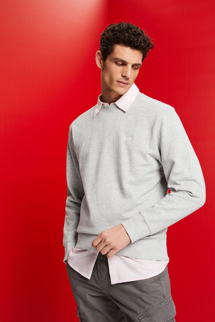 Sweatshirt mit Print auf der Rückseite