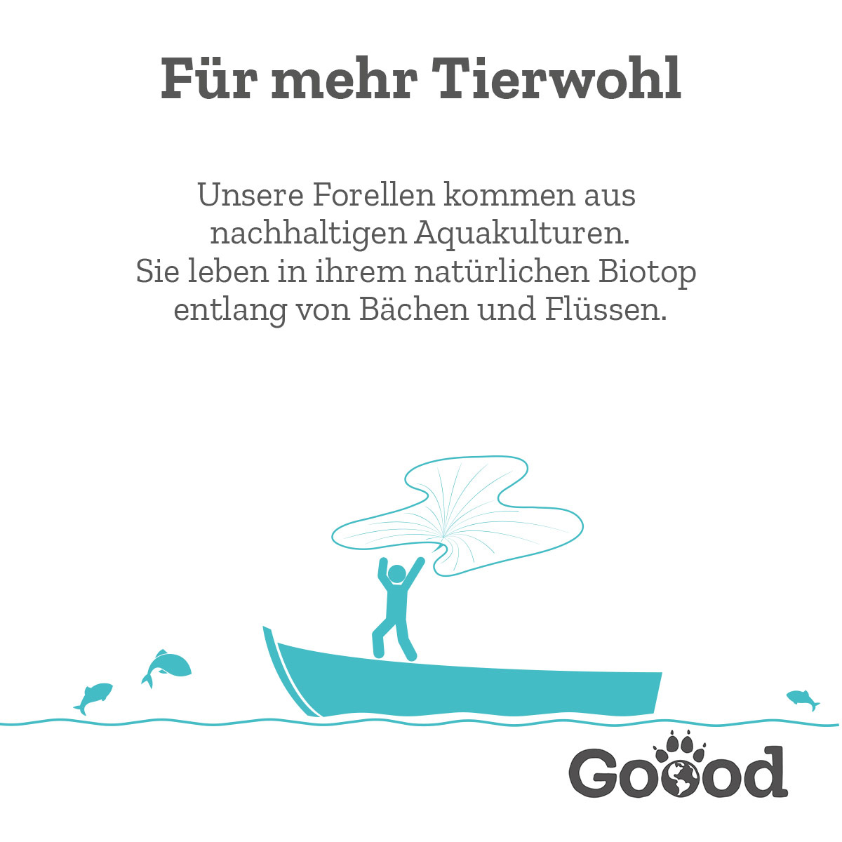Goood Adult Nachhaltige Forelle günstig kaufen bei ZooRoyal