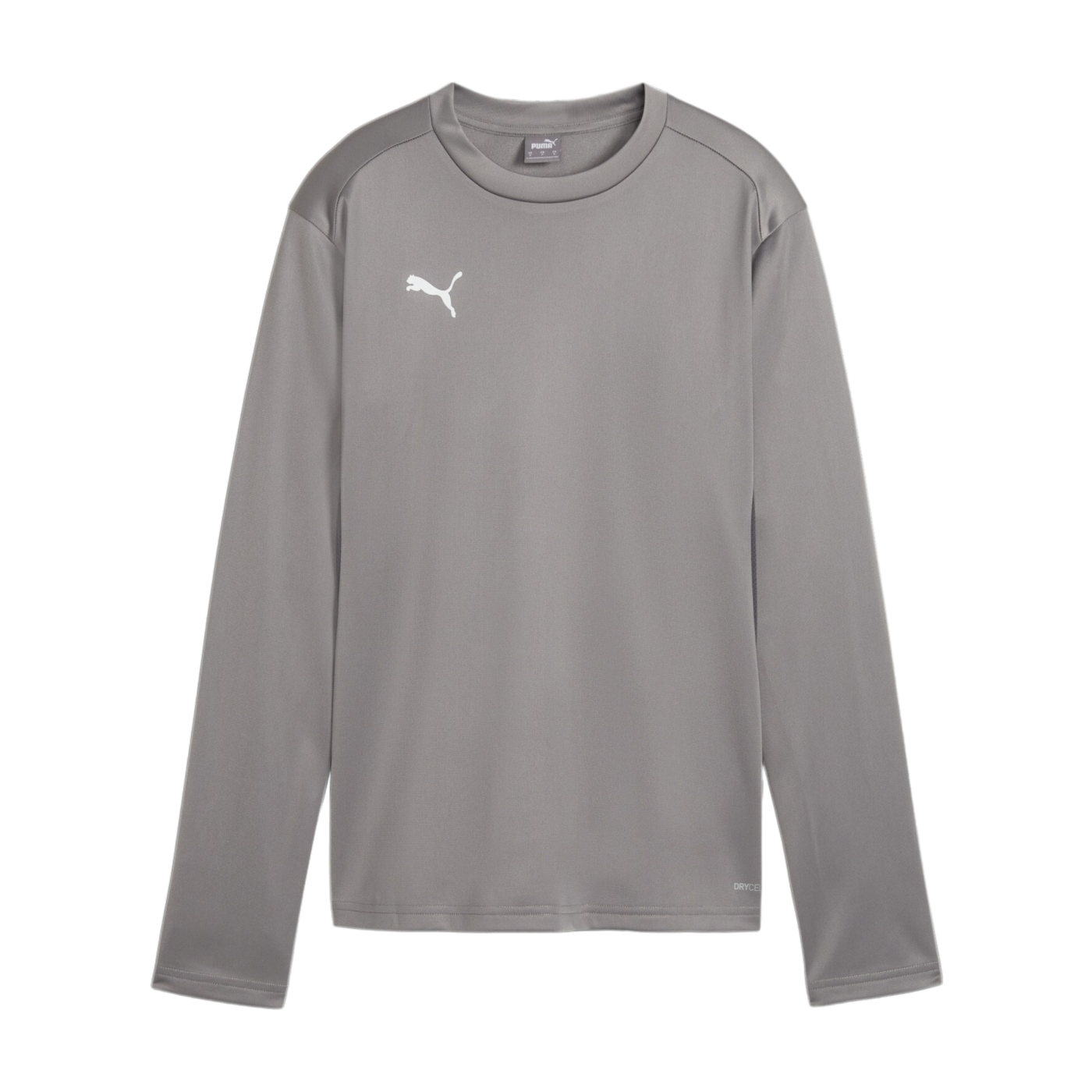 PUMA teamGOAL Training Sweatshirt Damen Grau F13
