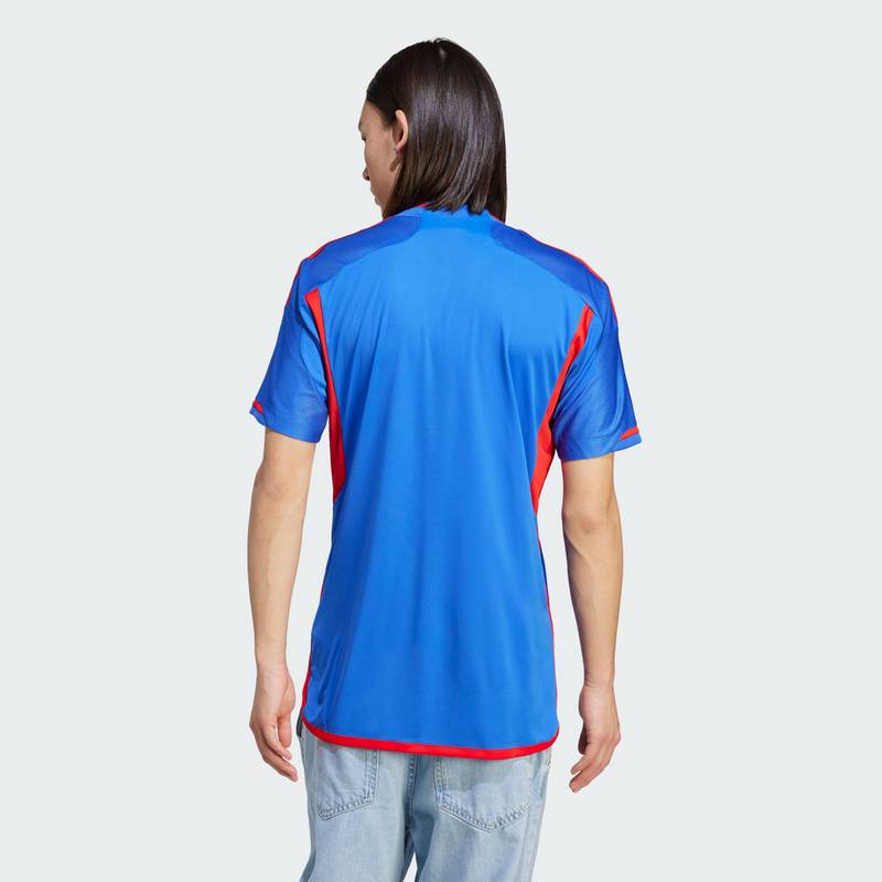 adidas Olympique Lyon 23/24 Auswärtstrikot Trikot Herren