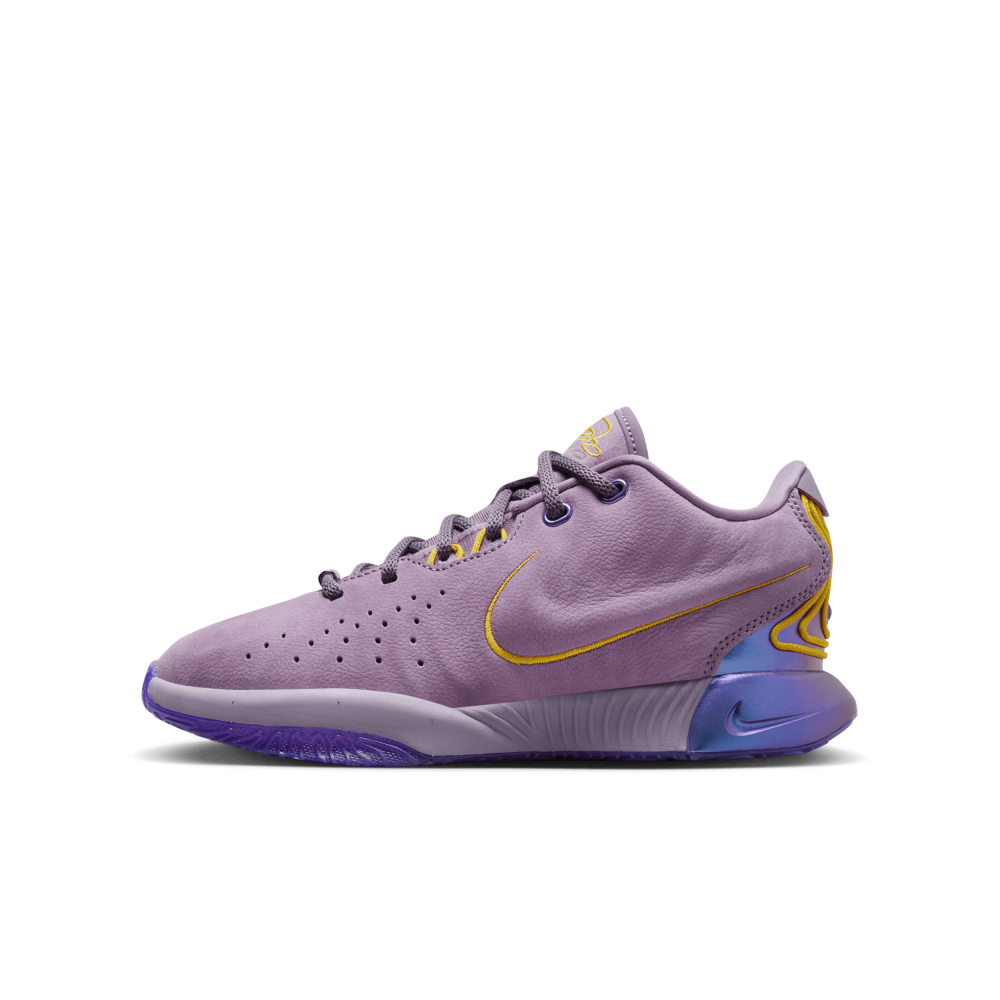 Nike LeBron FZ7189-500 / lila
