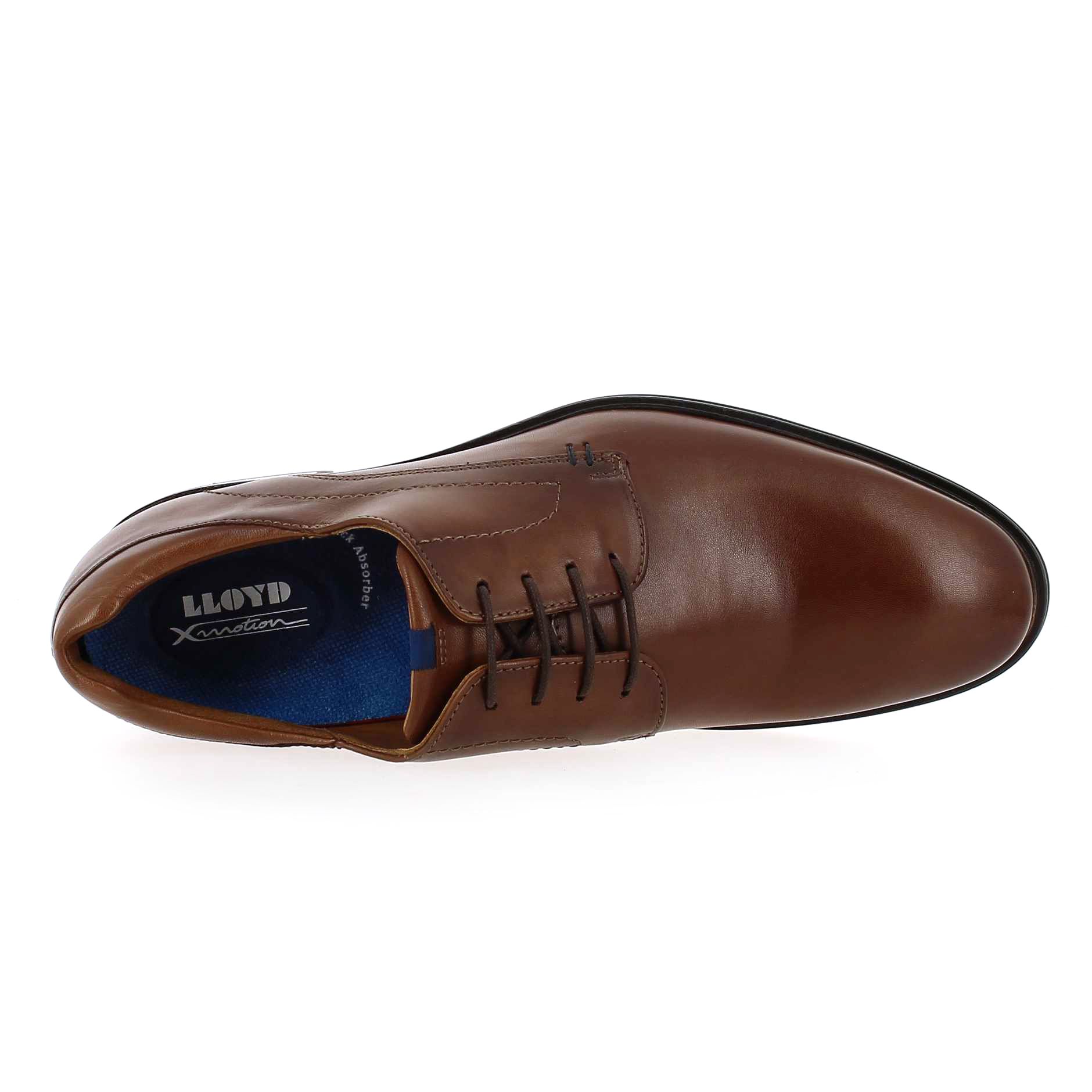 Lloyd  MILAN - Cognac