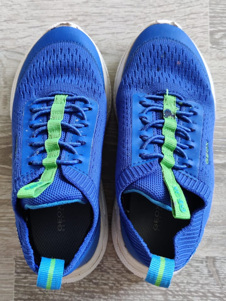 Geox Sneakers 