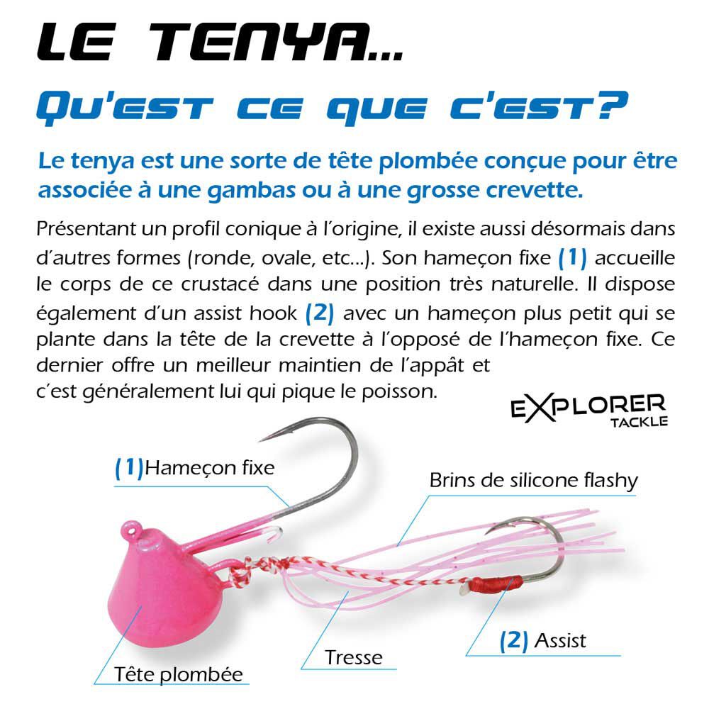 Jig Head Explorer-takle Magic Tenya grunt skrog