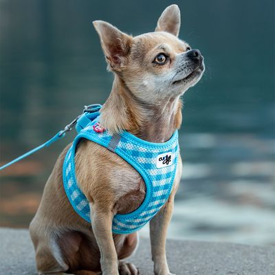 Curli Vest Geschirr Air-Mesh & Basic Leine - skyblue Caro