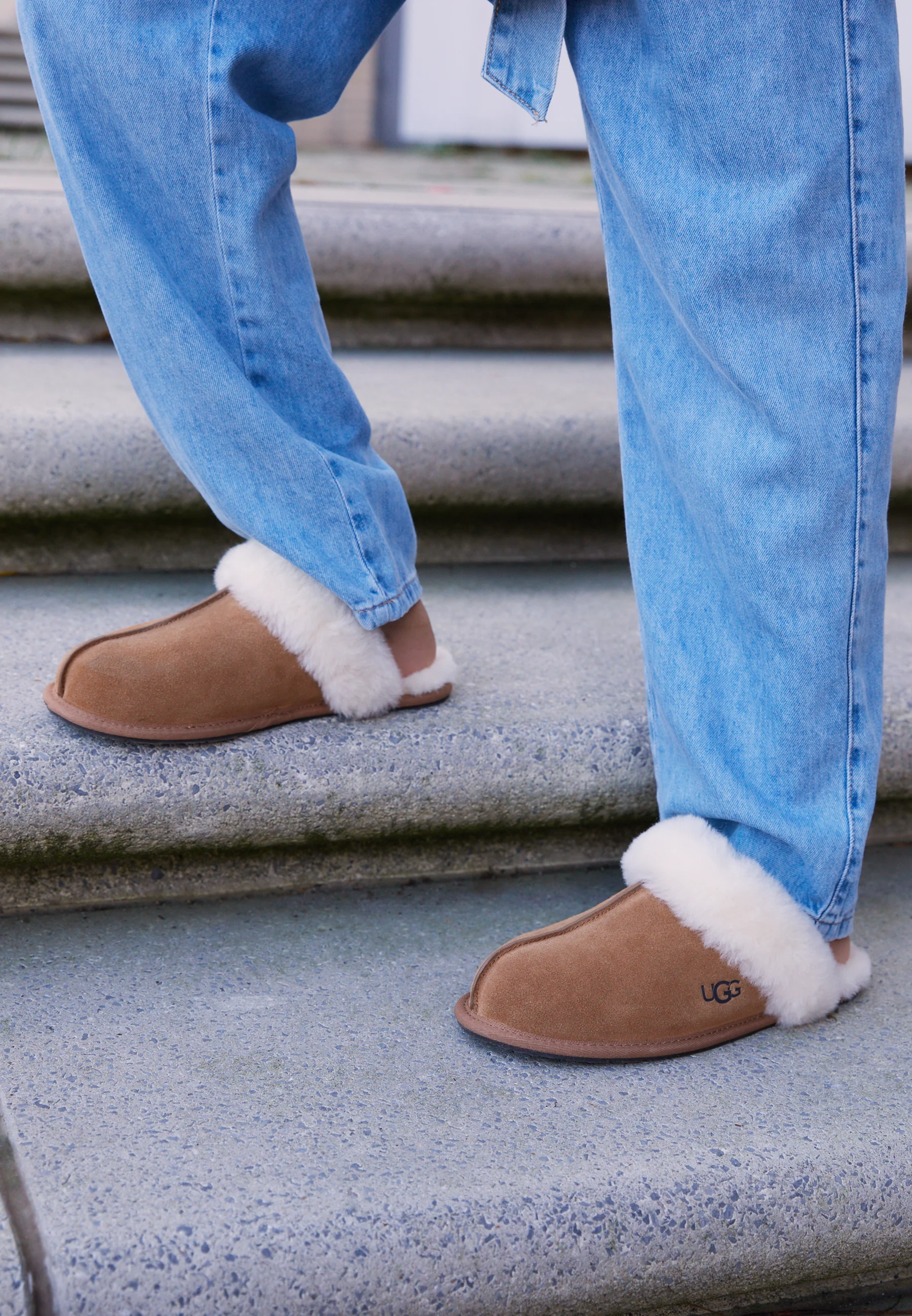 UGG SCUFFETTE II - Pantuflas