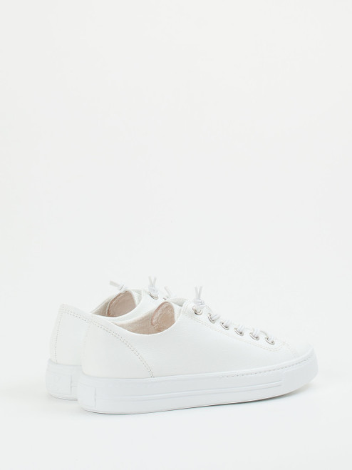 Sneaker-16637990202 Paul Green