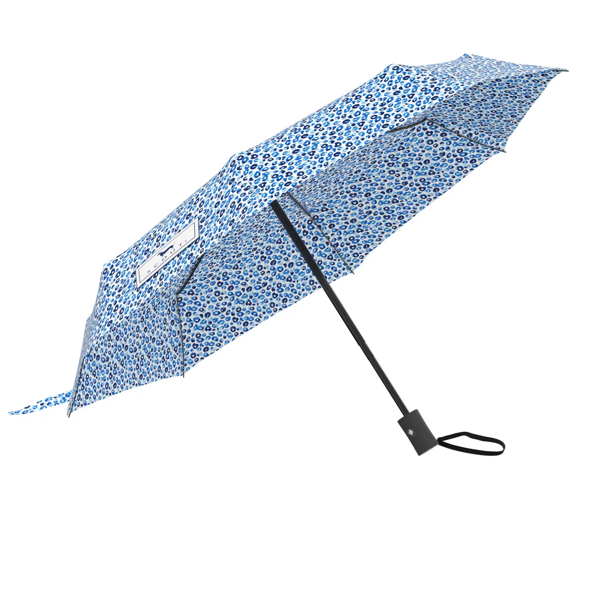 Umbrella High and Dry