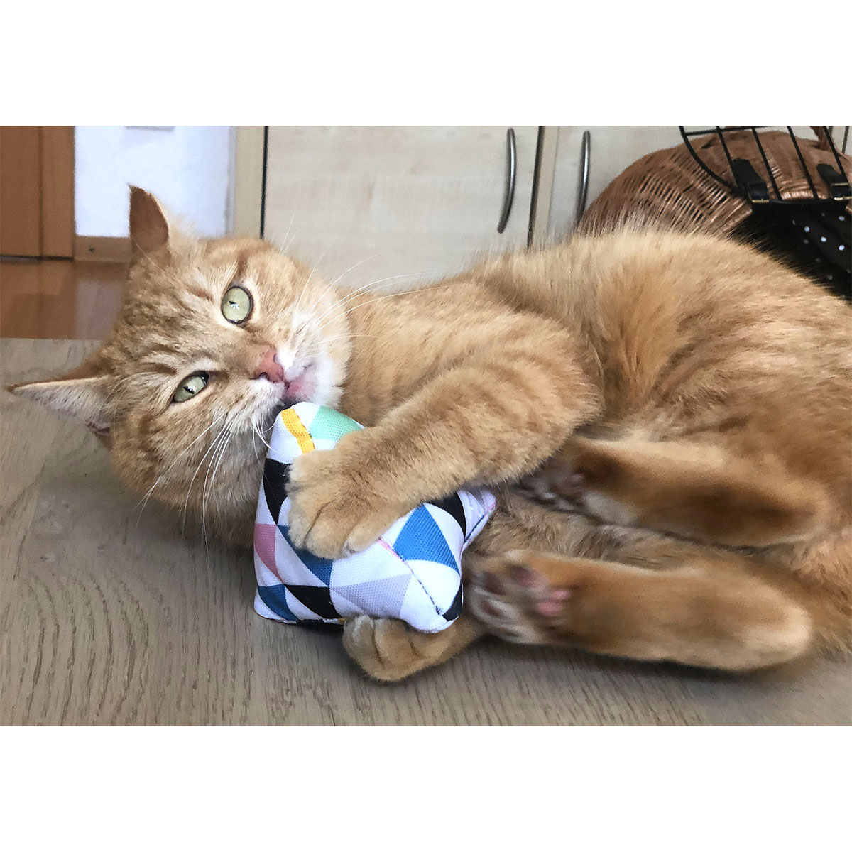 Aumüller Katzenspielpyramide Graphic günstig kaufen