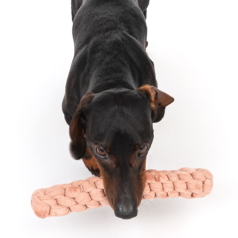 Modern Living Hundespielzeug Tarifa zu TOP-Preisen