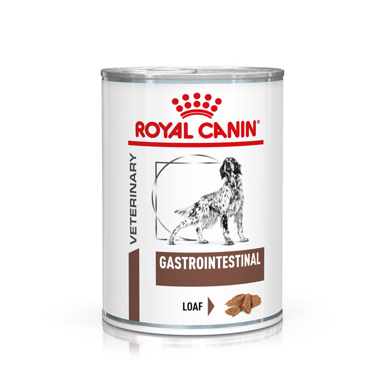 ROYAL CANIN Schonkost ROYAL CANIN Veterinary GASTROINTESTINAL Mousse 12x400g